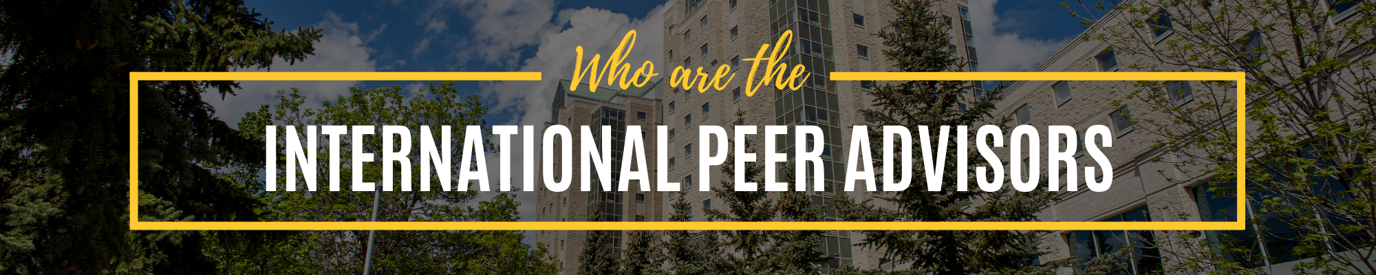 Who Are International Peer Advisors?