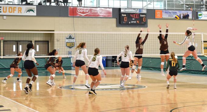 A volleyball game