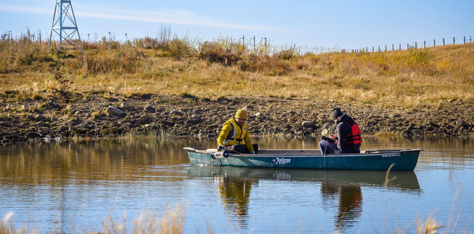 Two people in life jackets paddle a green canoe on a calm lake, with grassy shores and a clear blue sky.