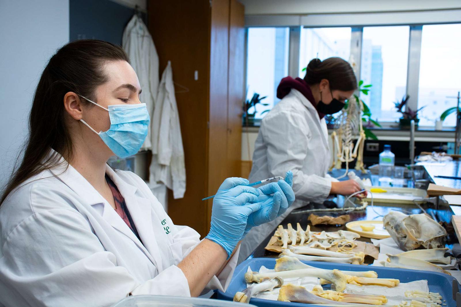Two students in science attire examining bones