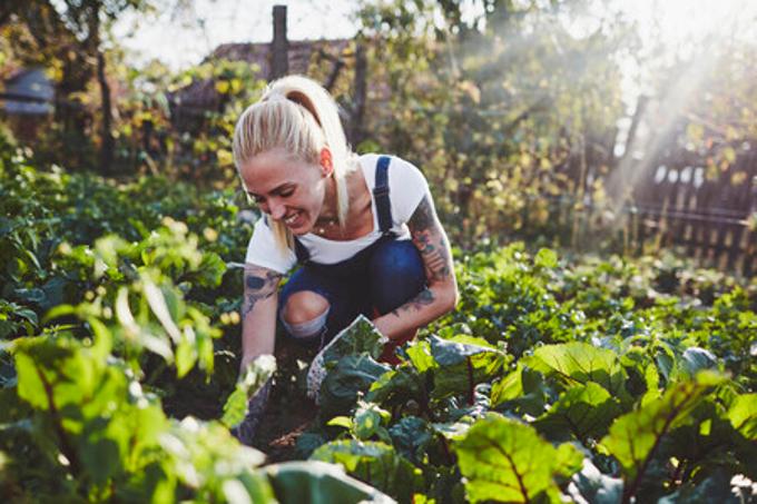 person gardening