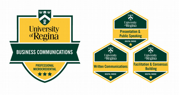 Badges and crest for the program