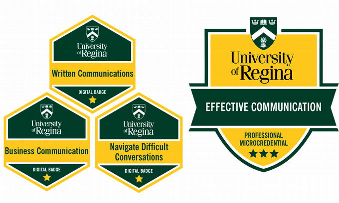 Badges and crest for the program