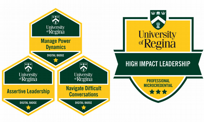 Badges and crest for the program