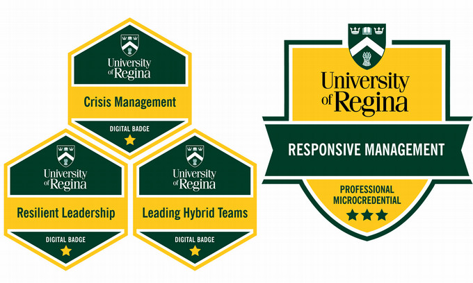 Badges and crest for the program