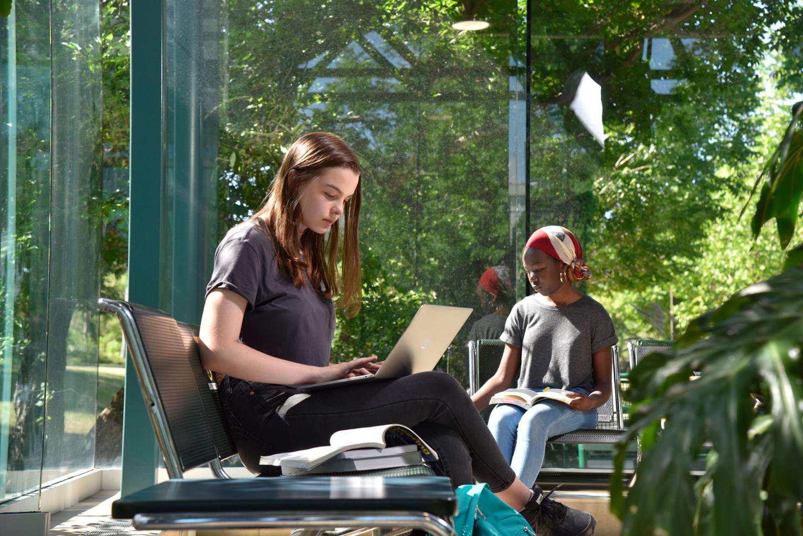 Two students studying on campus