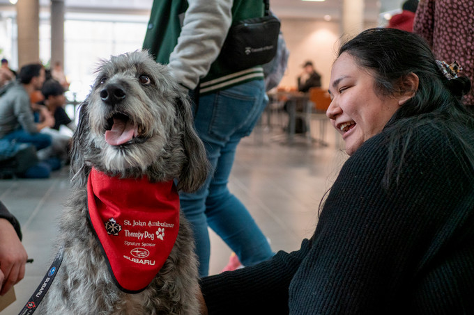 A therapy dog wearing a red bandana is petted by a smiling student.