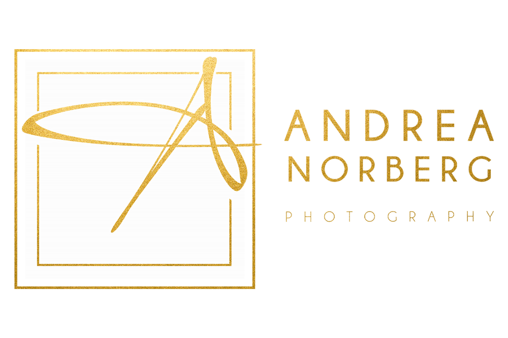 Andrea Norberg Photography Logo