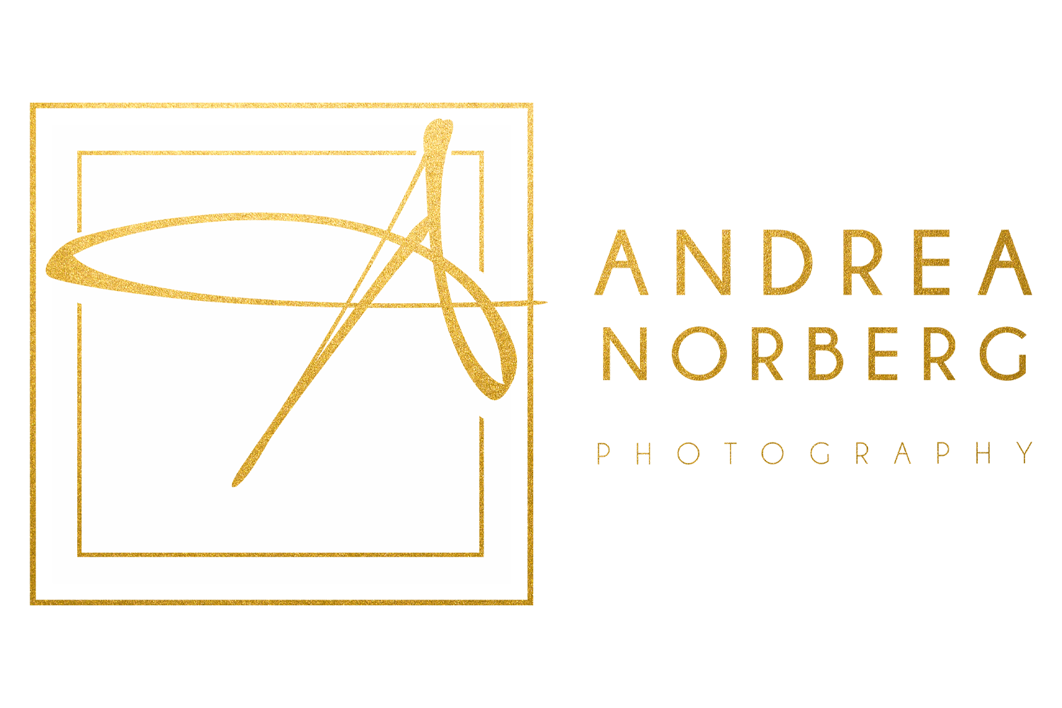 Andrea Norberg Photography Logo