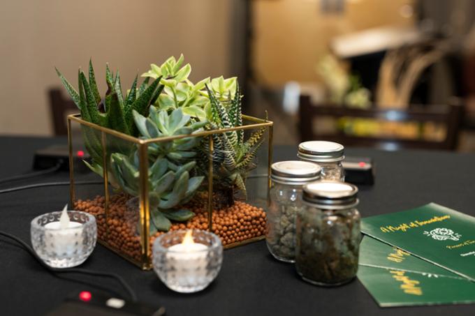 Succulents in glass pot on table