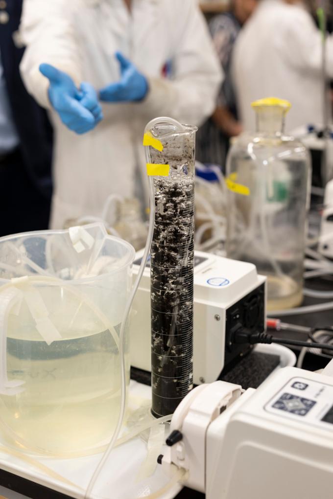 students stands behind bubbling test tubes in lab