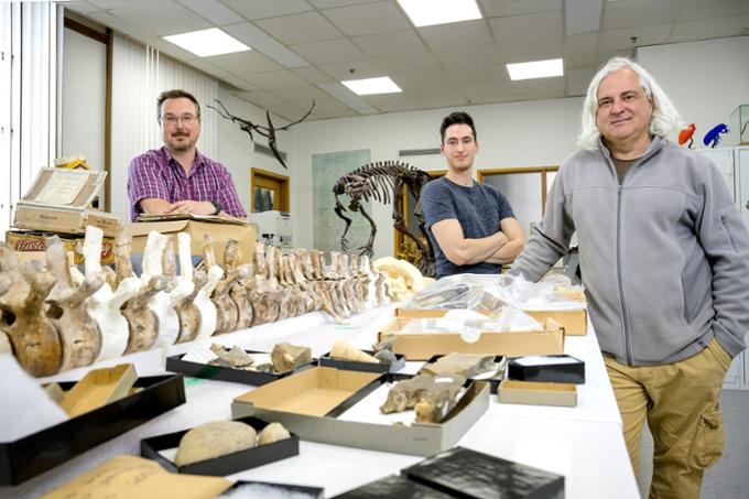 Researchers stand around a table with fossils and bones on it