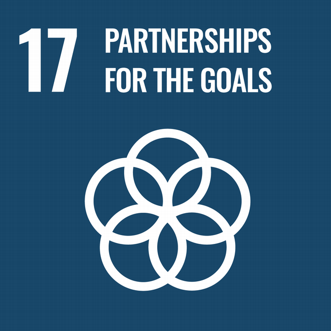 UN SDG Goal 17