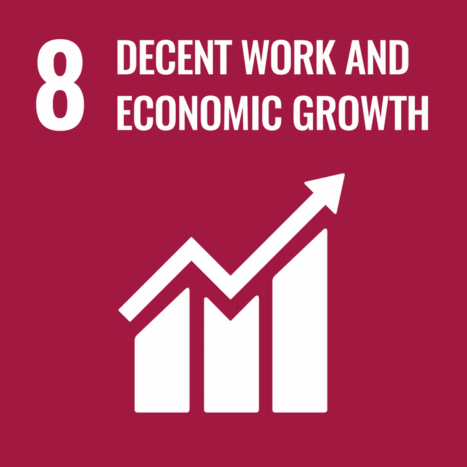 UN SDG Goal 8