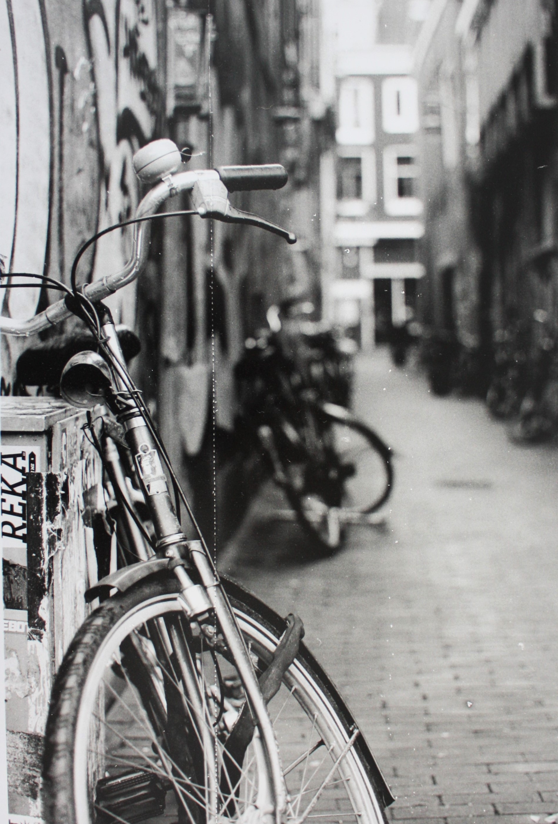 Third Prize (selected by votes at Business Admin display): This photo (called “Amsterdam" ) was taken in Amsterdam, down an alley in the Bloemenmarkt (the flower market) with my film camera. I developed the film and enlarged the image myself. Photo submitted by Madison Pascal, student who participated in a semester abroad in Sunderland, England.