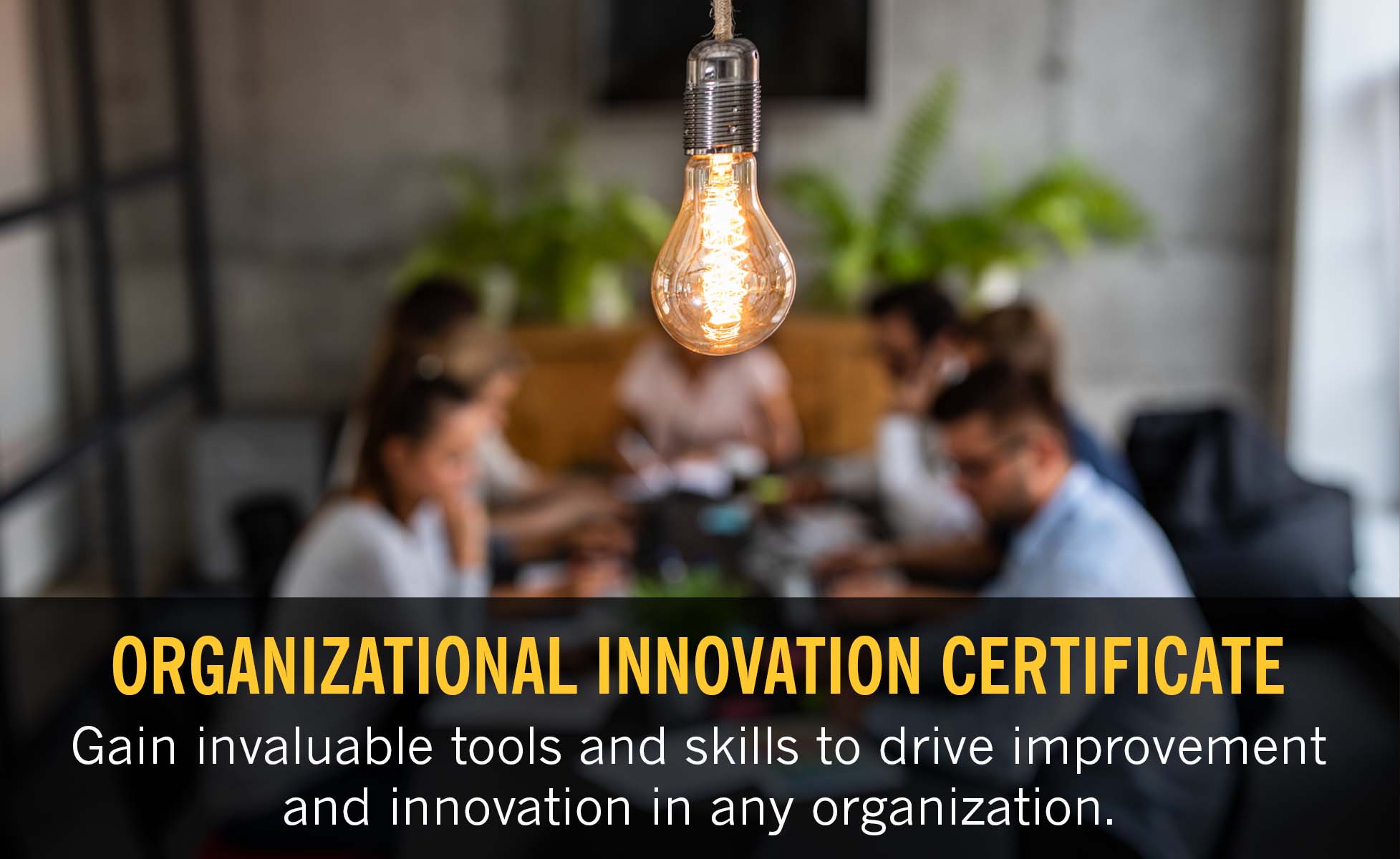 organizational innovation certificate
