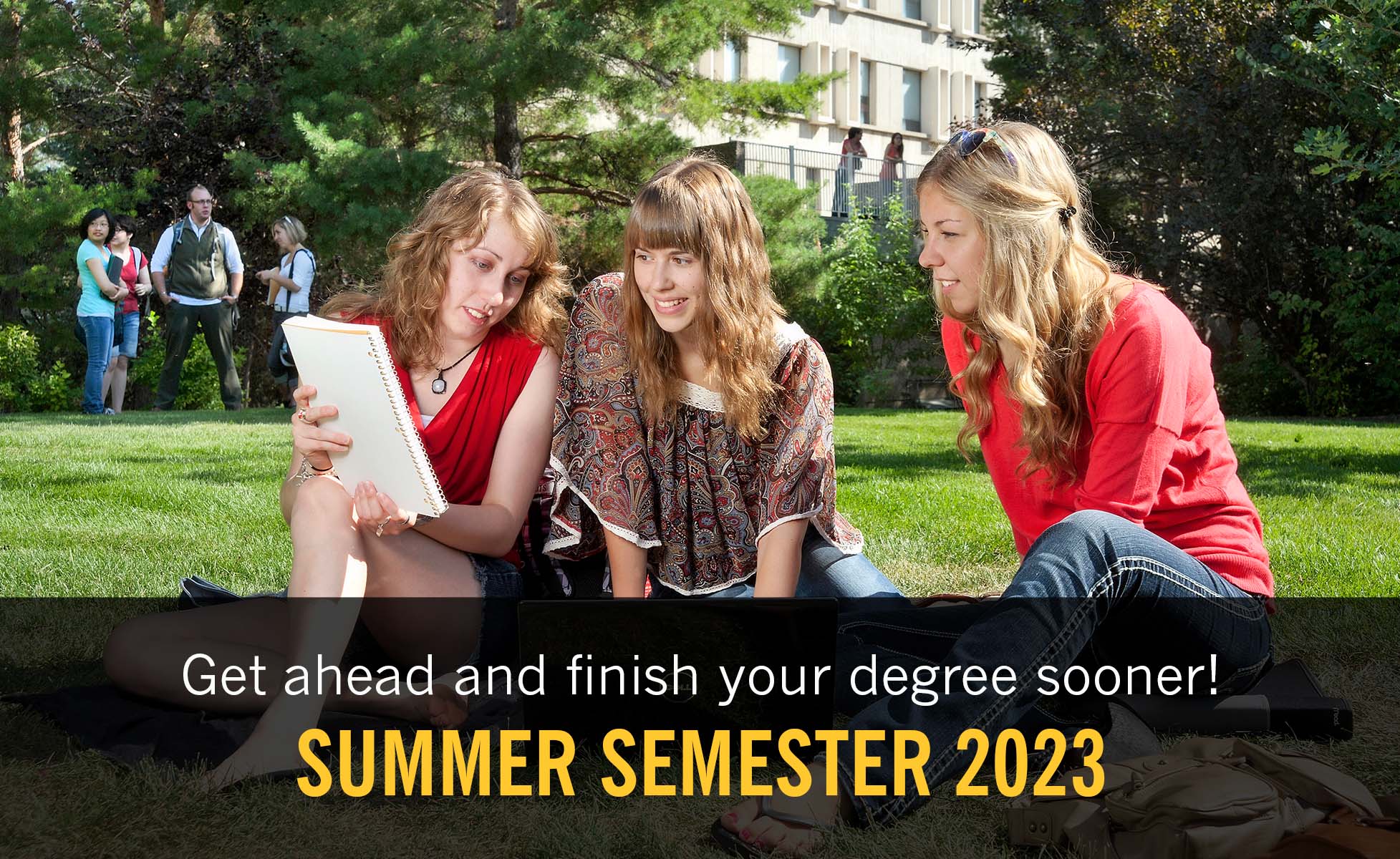 fld-summer-courses-2023.jpg