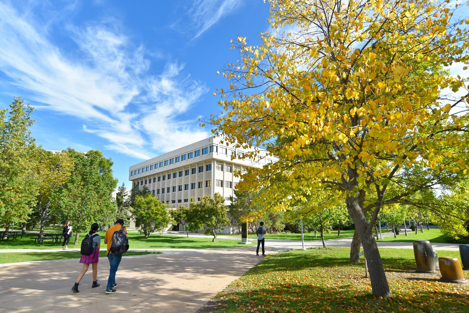 Education Building Autumn