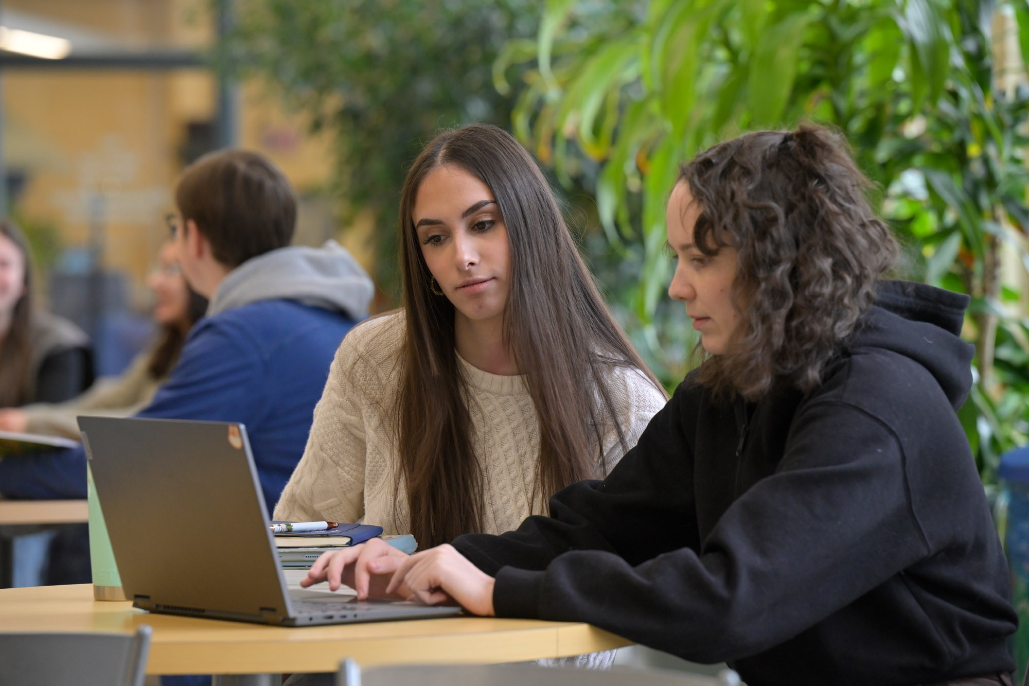 Two students working on computer