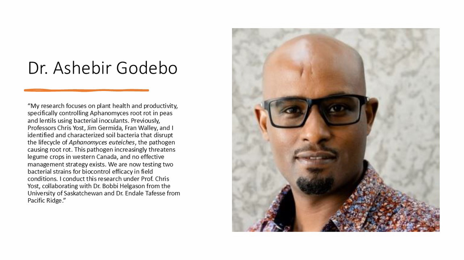 Godebo