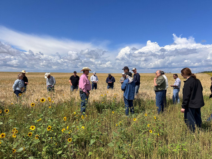 Students in a field with sunflowers
