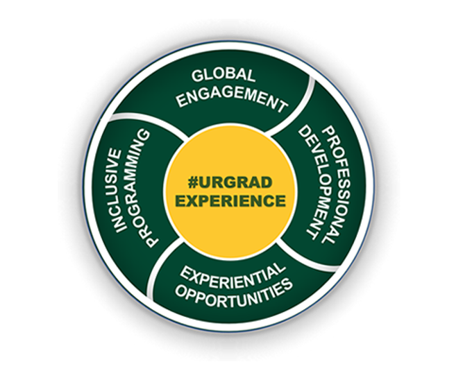 graphic with text that describes the URGrad Experience including words: Global Engagement; Professional Development: Experiential Opportunities; and Inclusive Programming.