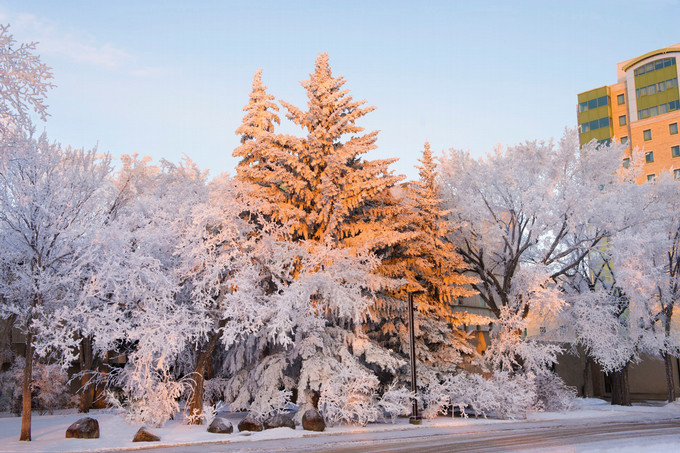 uofr-outdoor-trees-winter