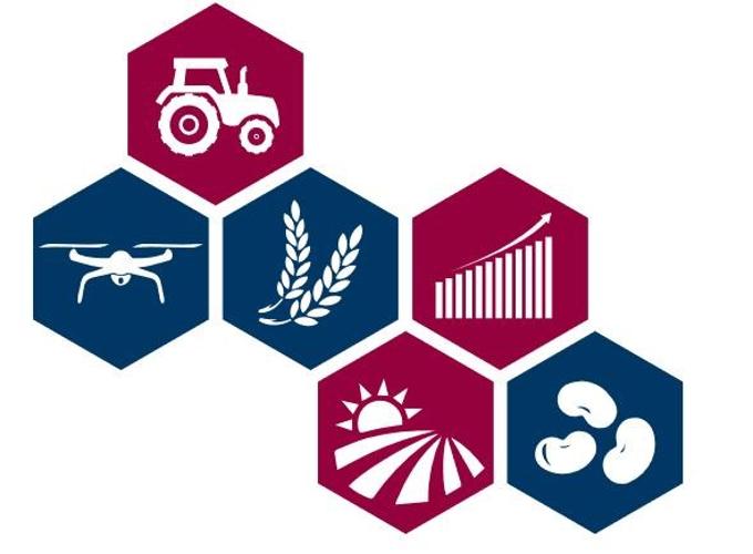 Hill | Levene Review: The Agribusiness Issue