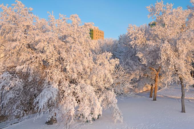 winter scence at uofr