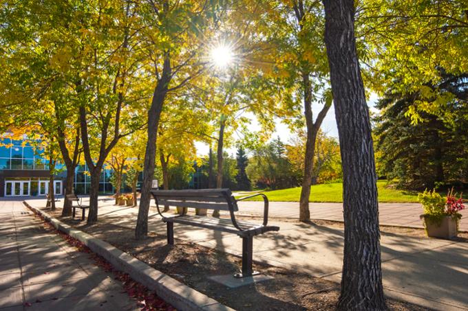 campus bench