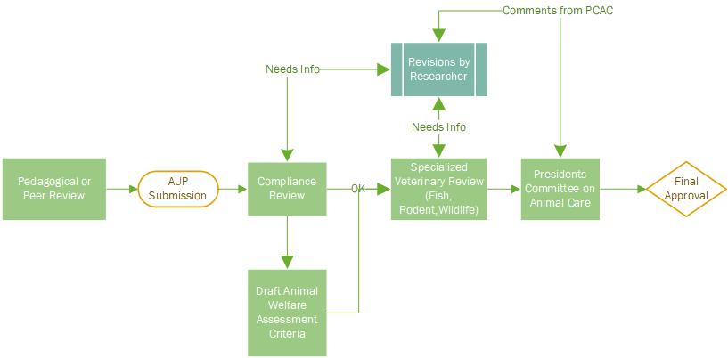 AUP Review Process Flowchart 
