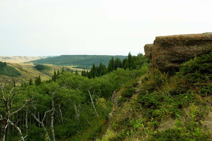 Research Station in Cypress Hills