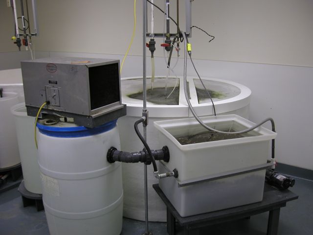 Large tanks in the Aquatics Facility.