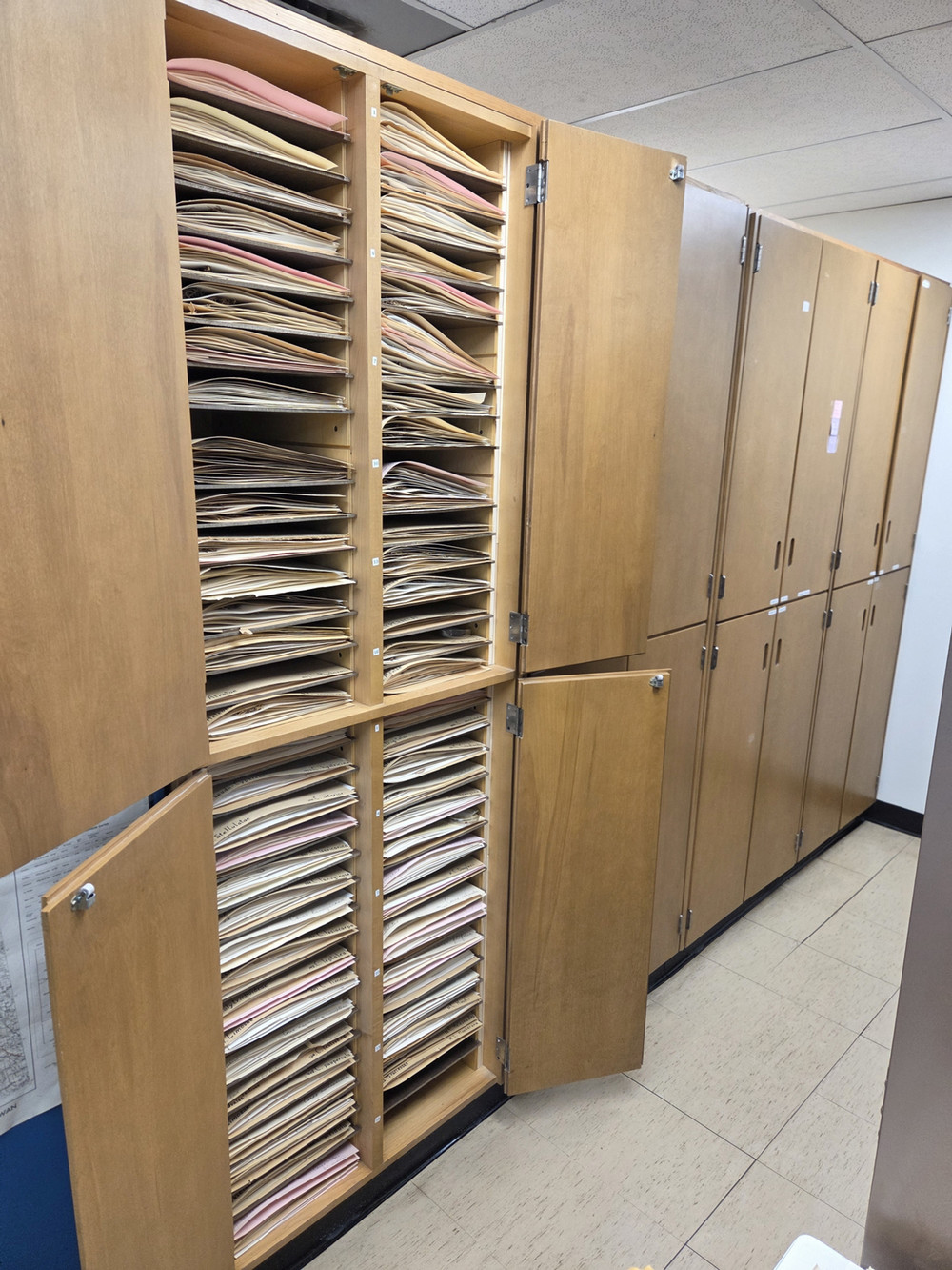 herbarium shelves