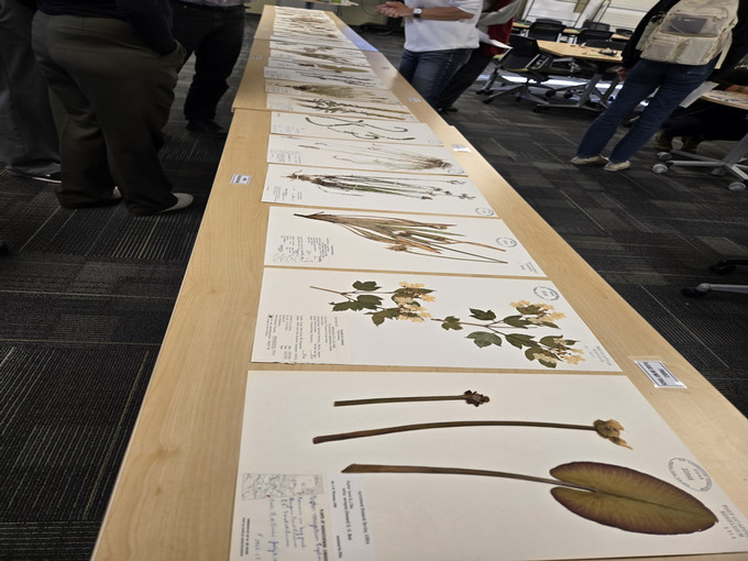 Herbarium samples