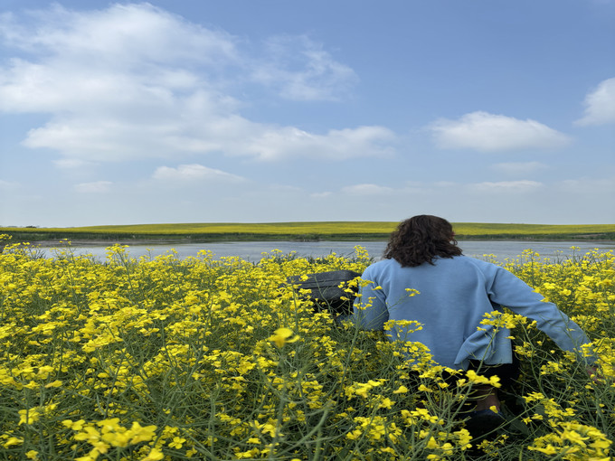 Canola