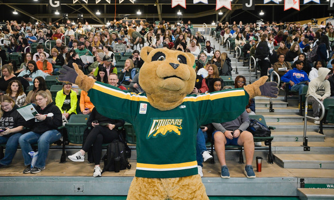 a mascot standing in front of a crowd