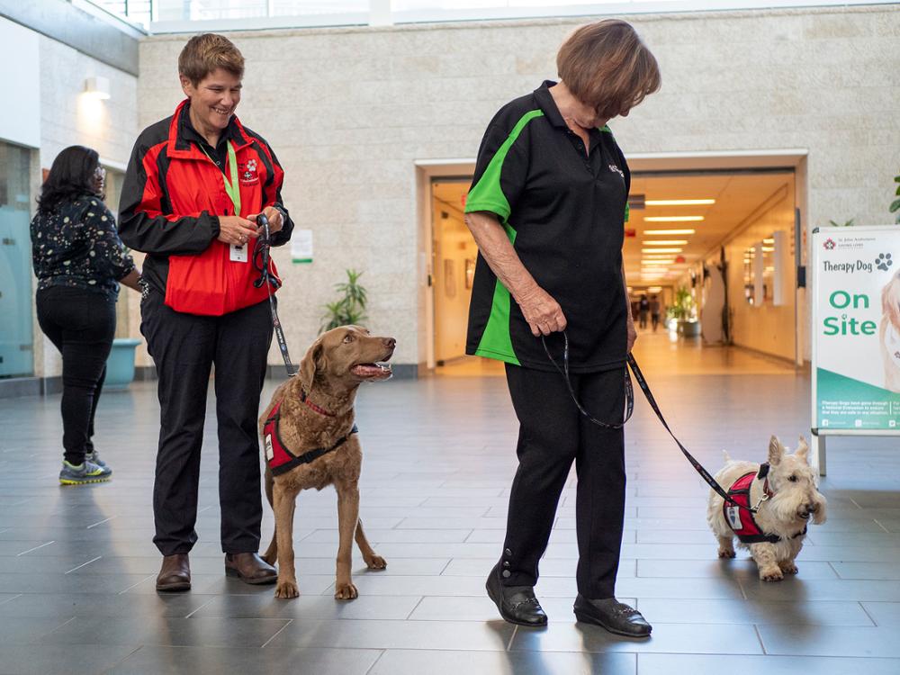 Two of the animal handlers with two dogs on leashes