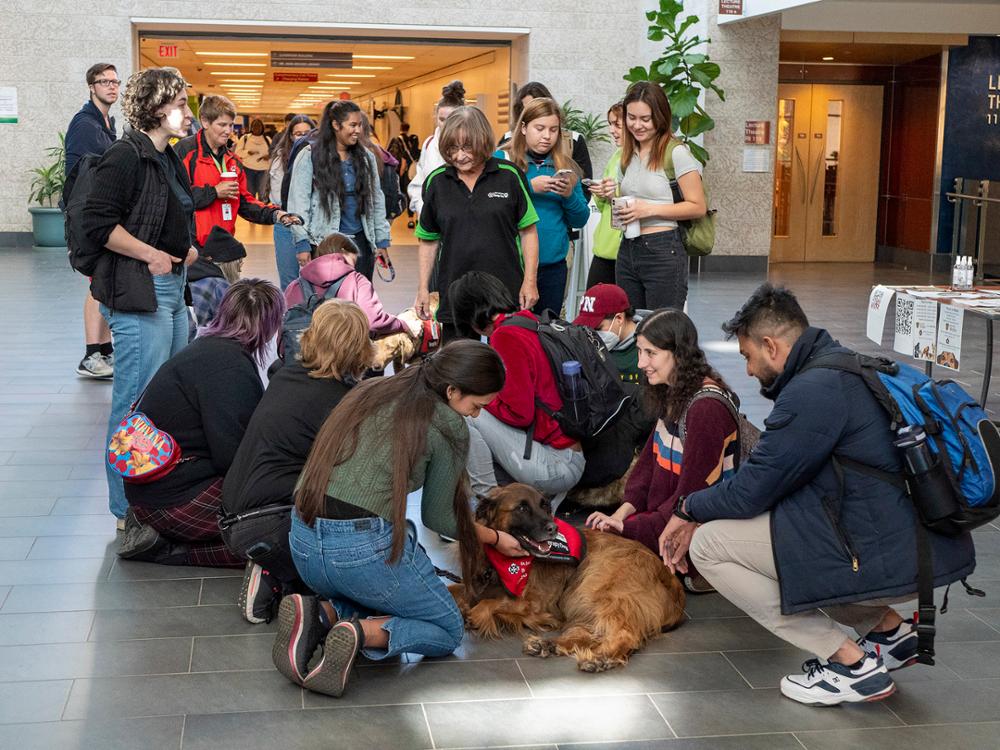 A large group of students and a large group of dogs interact in positive ways in a large hallway.