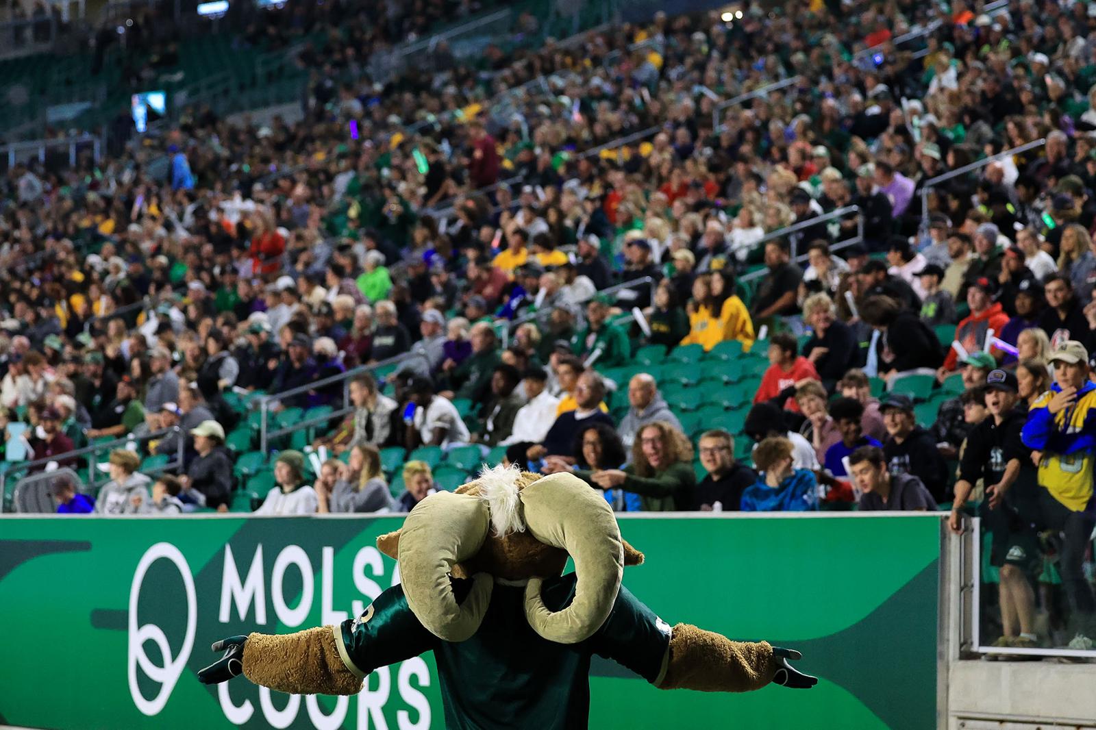 A crowd of people watching a mascot at a football game