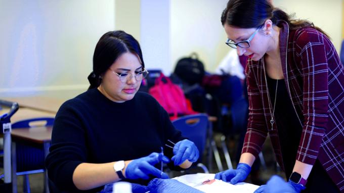 Student practices suturing on a pig’s foot while receiving instruction from an instructor.