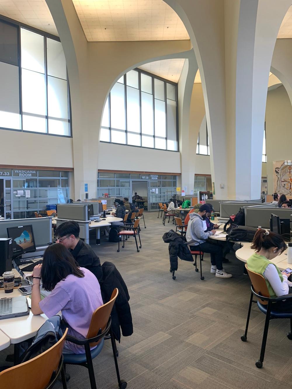 students studying in the library