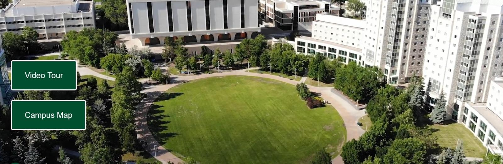 An outdoor scene with green grass and trees, with buildings to the side