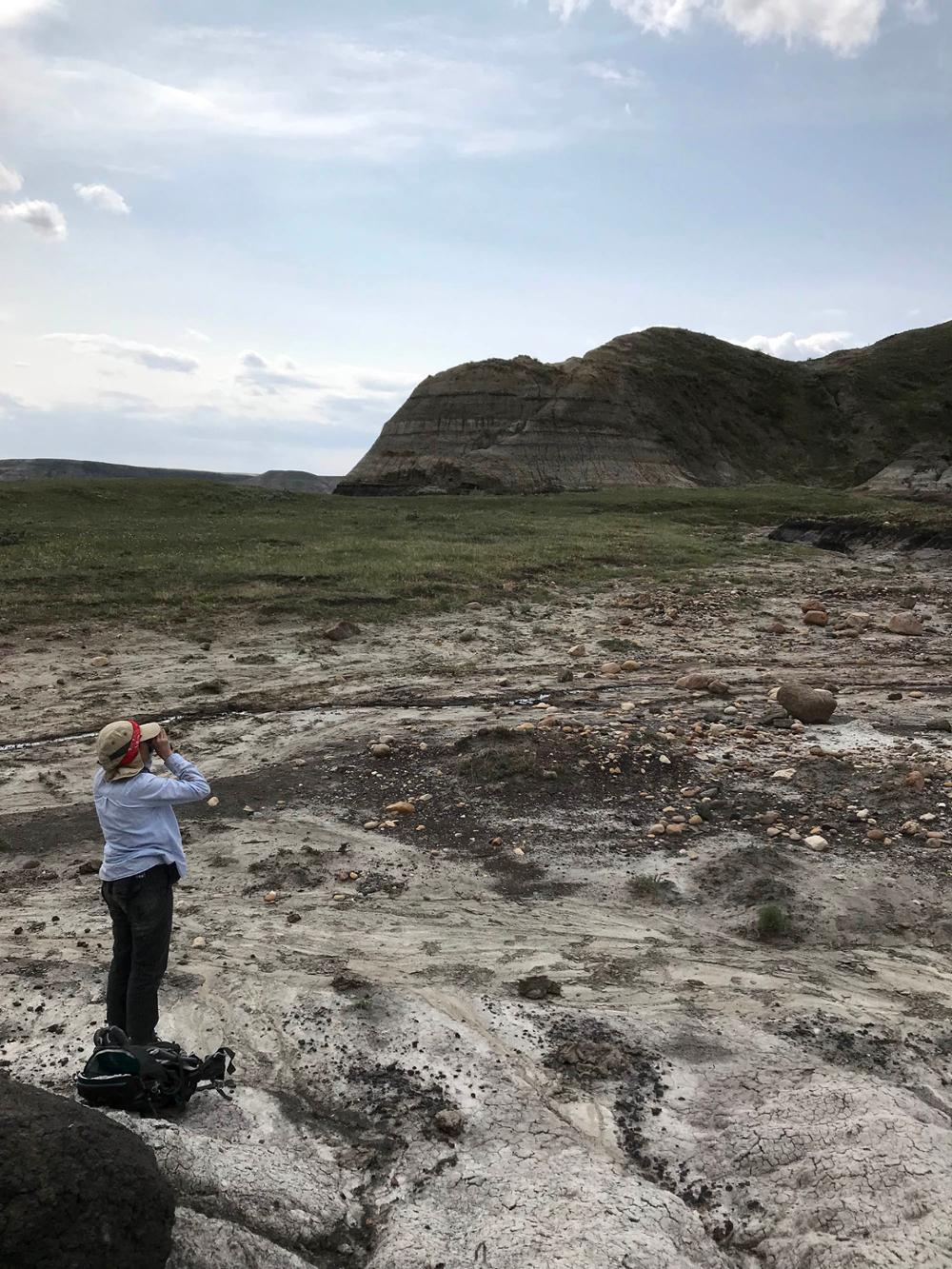 Professor stands on an outcrop looking through binoculars at the Big Muddy Badlands.