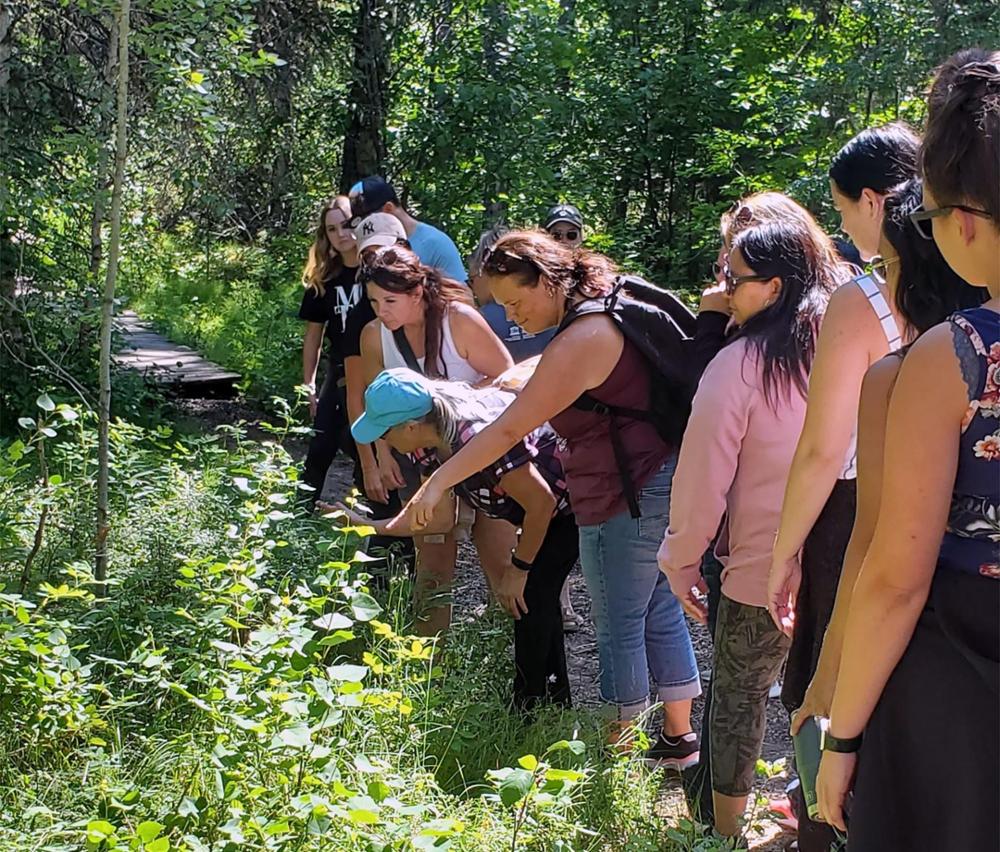 People standing on path in forest looking intently at something on the ground.