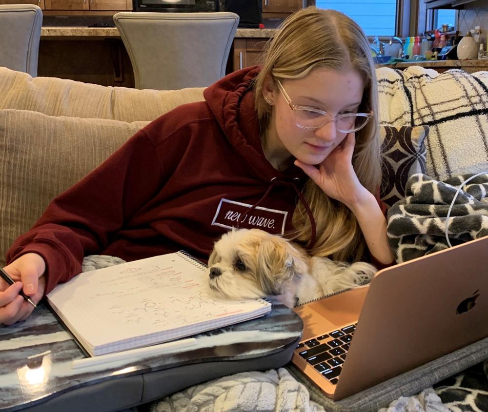 Young woman sitting on couch looking at laptop