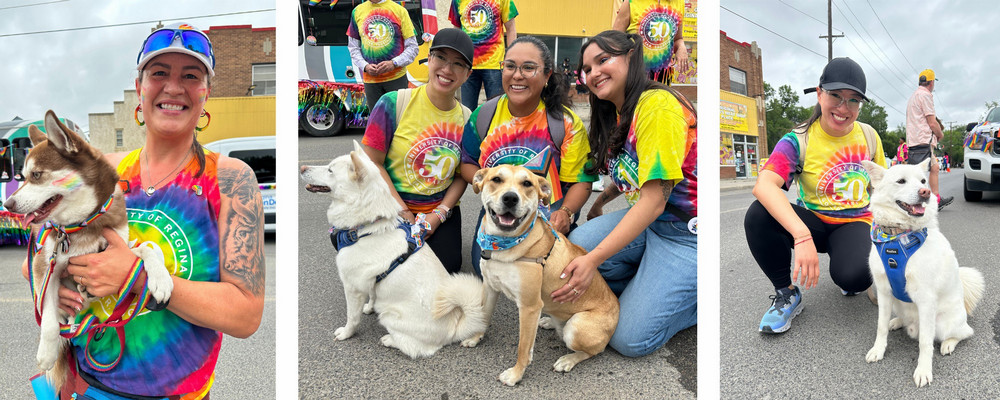 three photos featuring dogs at the parade