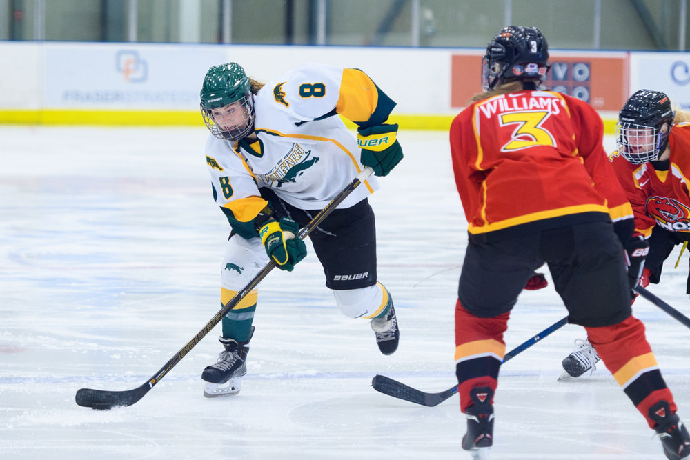Two People playing hockey
