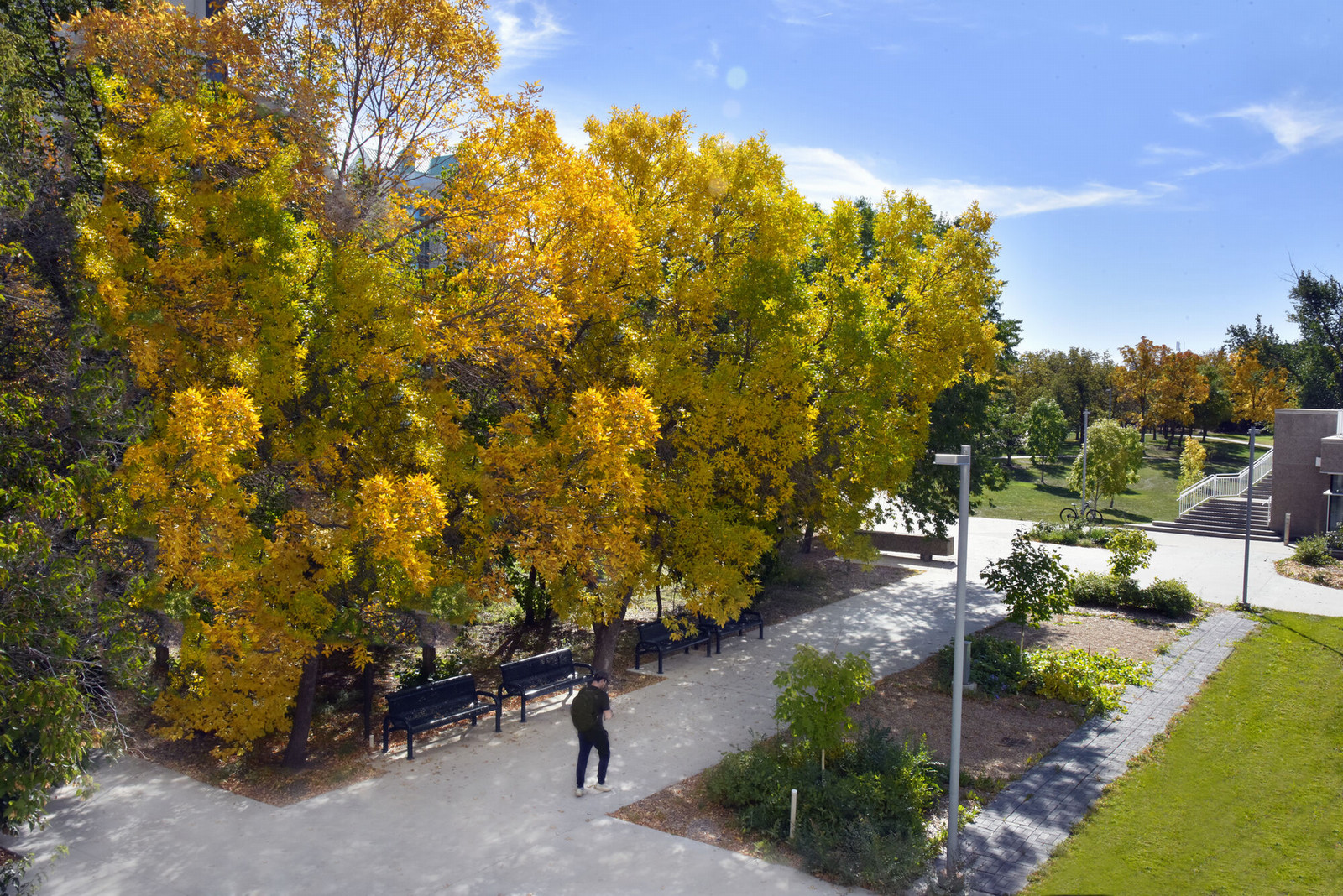 scenic view of campus with fall colours