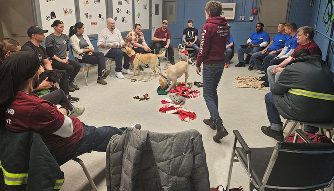 A group of people and a few dogs are assembled in a room within a prison. 